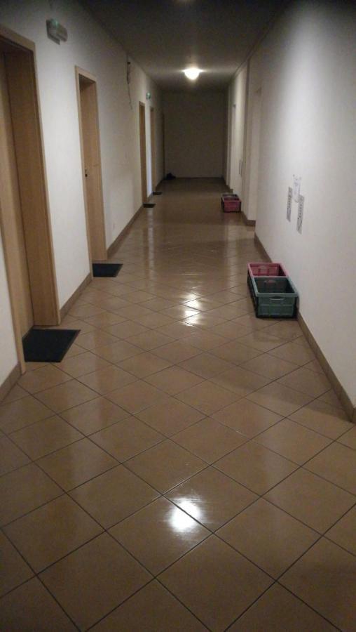 Zimmerfrei In Radebeul Buitenkant foto